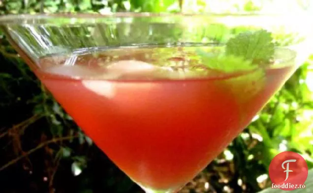Margarita Violet