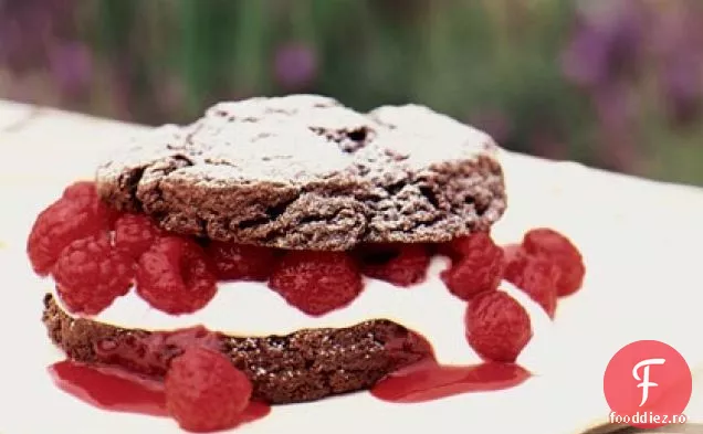 Shortcakes Cu Zmeură De Ciocolată