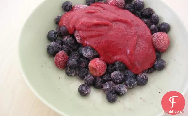 Sorbet de mure și vodcă cu fructe de pădure mixte