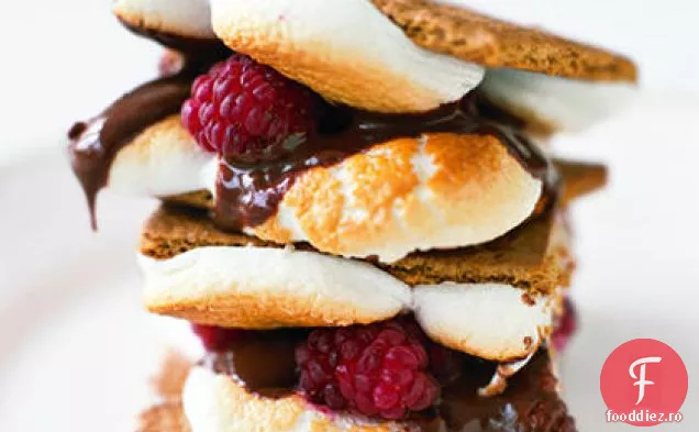 Raspberry S ' Mores