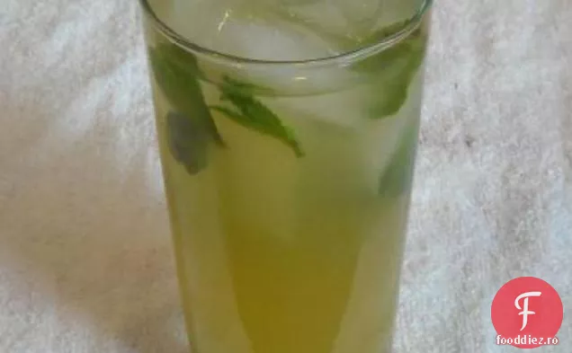 Mojito Portocaliu De Sânge