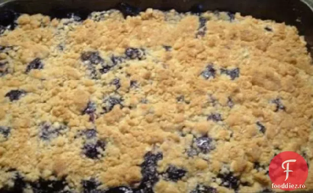 Tratament De Vară Cu Ovăz De Afine