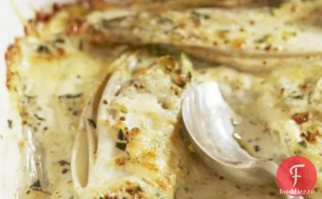 Cicoare & Gruycincrorre Gratin