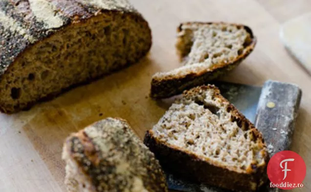 Salată de cicoare la sfârșitul verii cu crutoane de grâu integral însămânțate