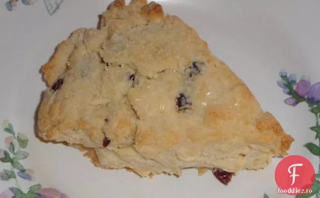 Biscuiți Cu Ciocolată Albă Craisin