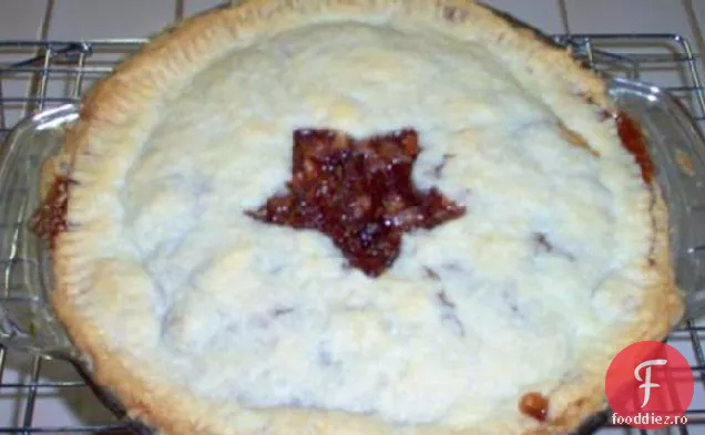 Afine carne tocată tarte sau plăcintă #2
