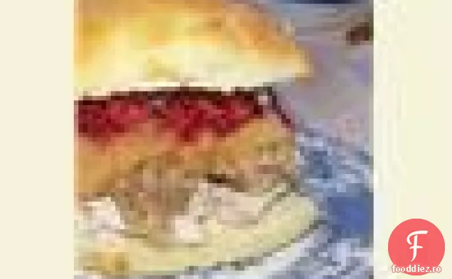 X-Evaluat Tarta