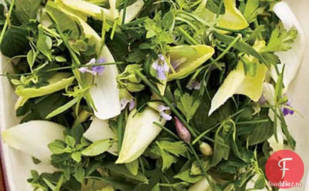 Salată de ierburi și andive cu pansament cremos de var