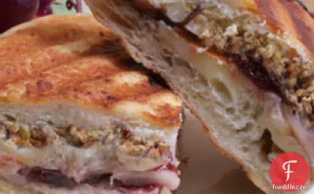 Ziua Recunostintei Panini