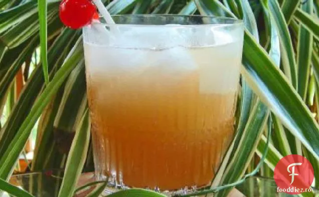 Recolta Nectar Cocktail