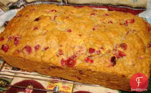 Pâine Cu Afine Portocalii