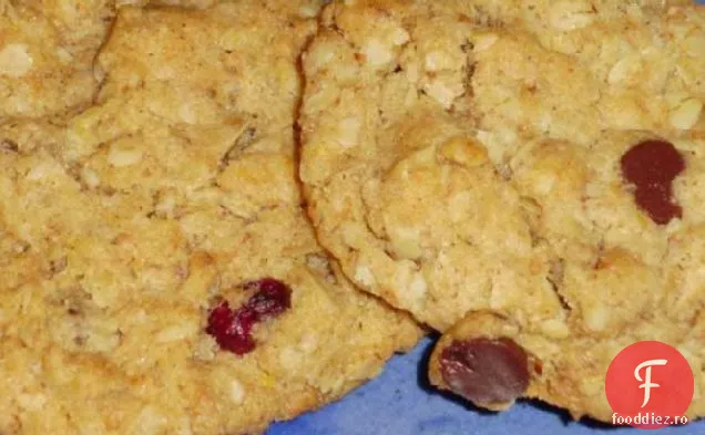 Nuc Sănătos (Sau Ciocolată) Afine Fulgi De Ovăz Cookie-Uri Masticabile