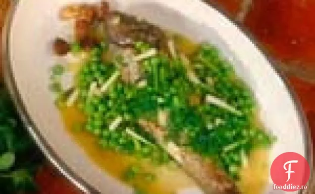 Porgy, stil Roman: Pagro alla Romana