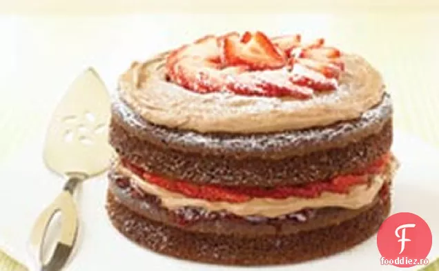 Shortcake Cu Căpșuni Cu Ciocolată Dublă