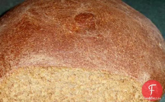 Pâine Integrală De Grâu Cu Miere De Casă Sănătoasă