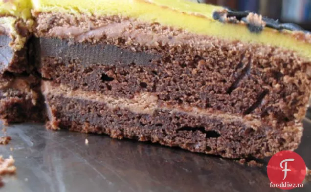 Cel Mai Bun Tort De Ciocolată Bogat Vreodată