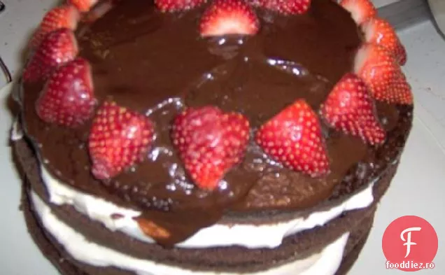Ciocolată Bavareză Torte