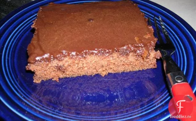 Tort De Ciocolată Amish Texas