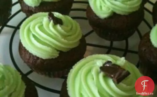 Cupcakes Cu Ciocolată Cu Mentă
