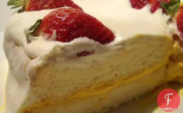 Tort De Burete Chinezesc (Copt, Nu Aburit)
