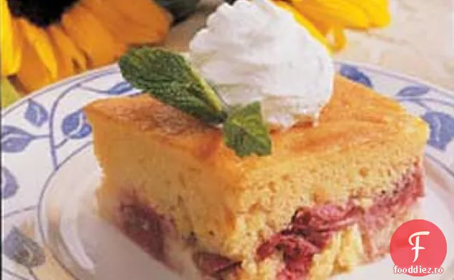 Tort Cu Cremă De Rubarbă
