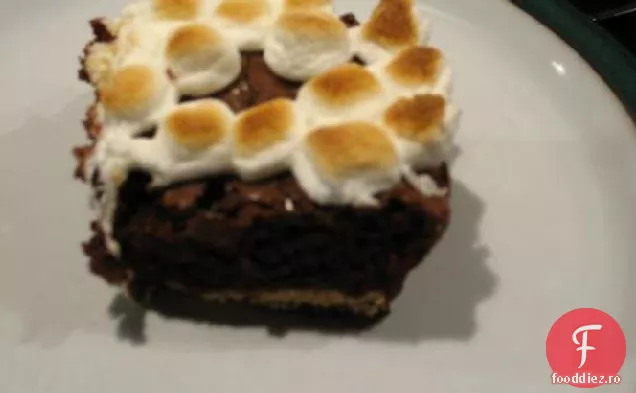 S ' mores Brownie Squares
