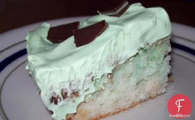 Ziua Sfântului Patricks Tort De Fudge Grasshopper