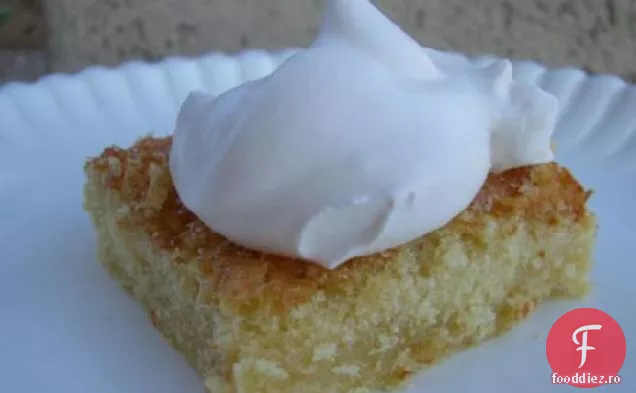 Tort De Burete Japonez (Kasutera)