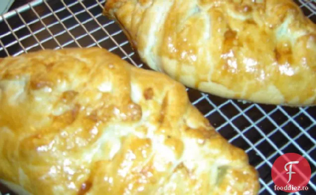 Resturi de curcan sau paste de pui
