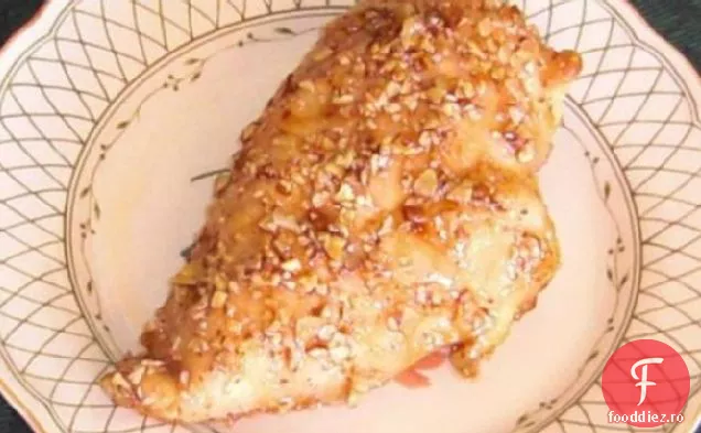 Pui De Arțar Nova Scotia