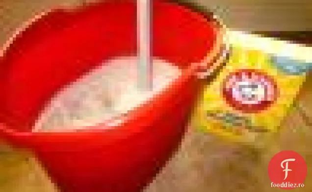 Pui frecat cu Chili cu mop de masă pentru grătar