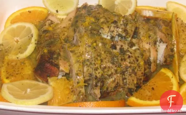 Turcia Stroganoff