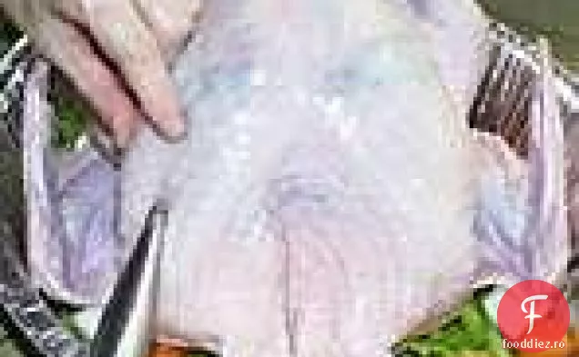 Curcan Prăjit Cu Chili Portocaliu