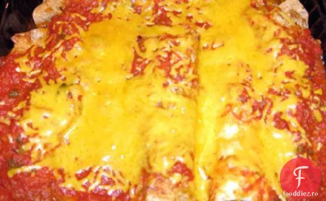 Turcia Enchiladas