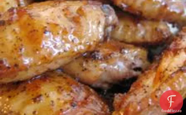 Turcia fierbinte n ' saucy aripi