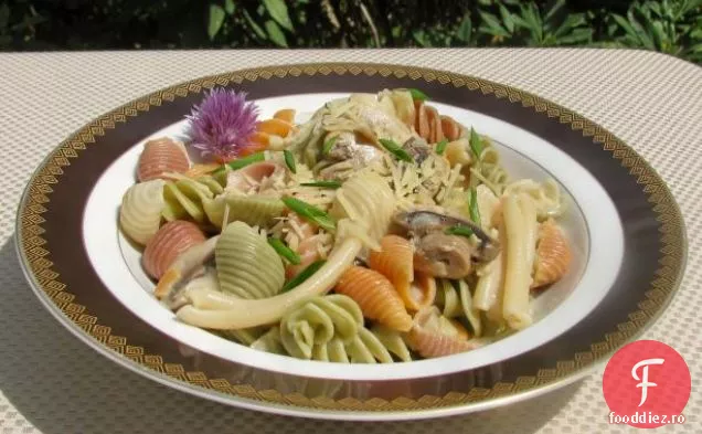 Paste Cu Sos De Cremă De Citrice