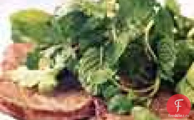 Paillards de vită cu Năsturel și salată de ierburi