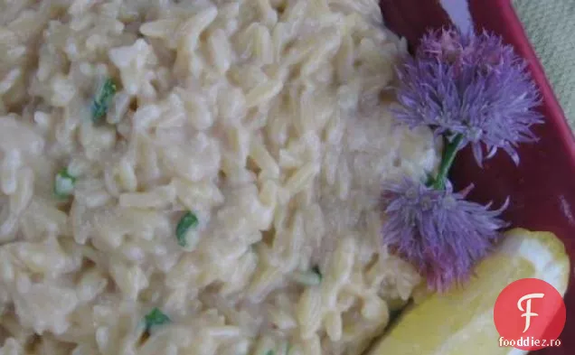 Big Daddy ' s Lemon Pepper Orzo