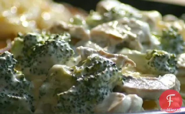 Alfredo Paste Primavera