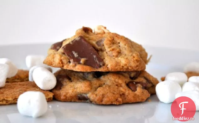 Cookie-Uri De Foc De Tabără