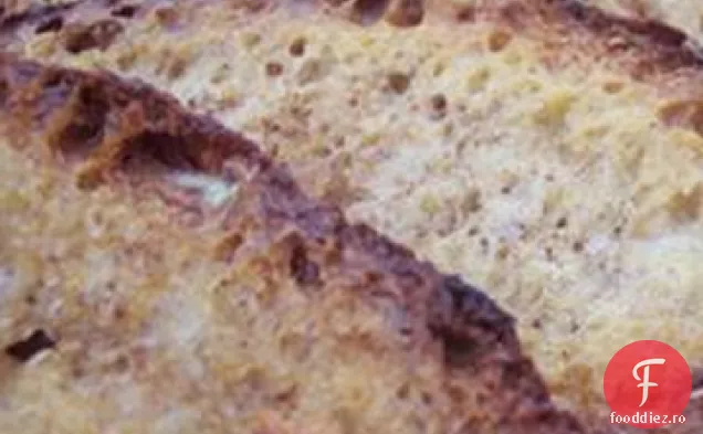 Pâine Prăjită Franceză La Congelator