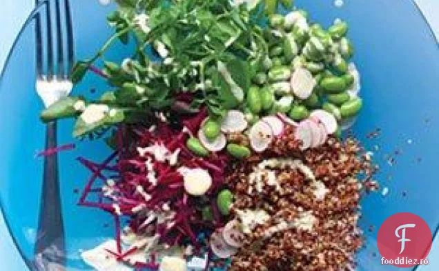 Salată De Quinoa Și Legume Cu Pansament Tahini
