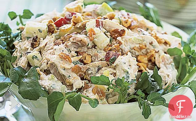 Salată de pui cu afine uscate