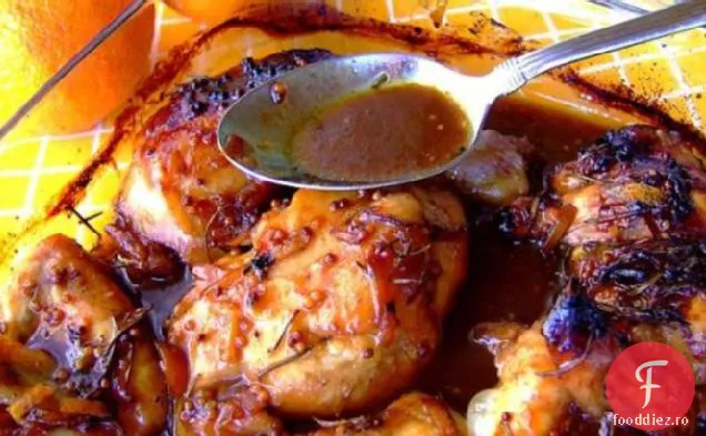 Pui Portocaliu Din Africa De Sud