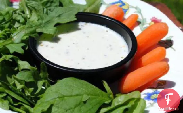 Sos De Salată Balsamică Din Zară