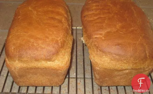 Înghețată ușoară (arțar sau miere îndulcită)