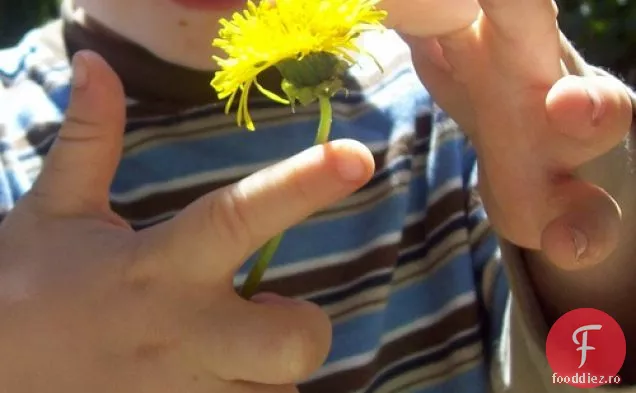 Ceai De Rădăcină De Păpădie Pentru Curățarea Blândă A Ficatului