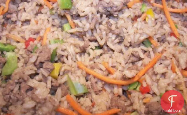 Orez ușor și Hamburger un fel de mâncare cina
