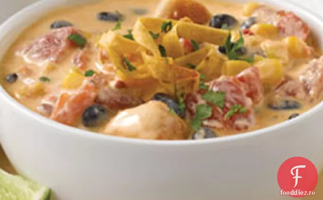 Supă De Pui Enchilada Santa Fe