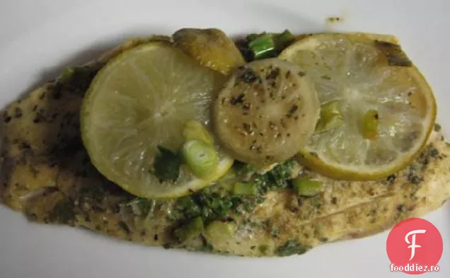 Pește De Tei Cilantro